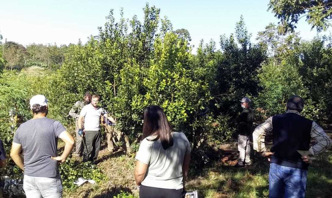Imagen de Es tiempo de cosecha y de m&aacute;s capacitaci&oacute;n en la chacra de Susana Pauluk