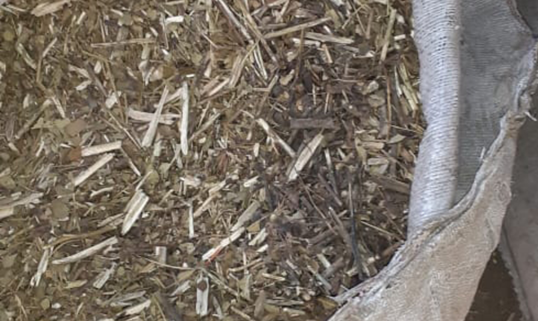 Imagen de El INYM clausur&oacute; un molino clandestino e inutiliz&oacute; 41 mil kilos de palitos de yerba