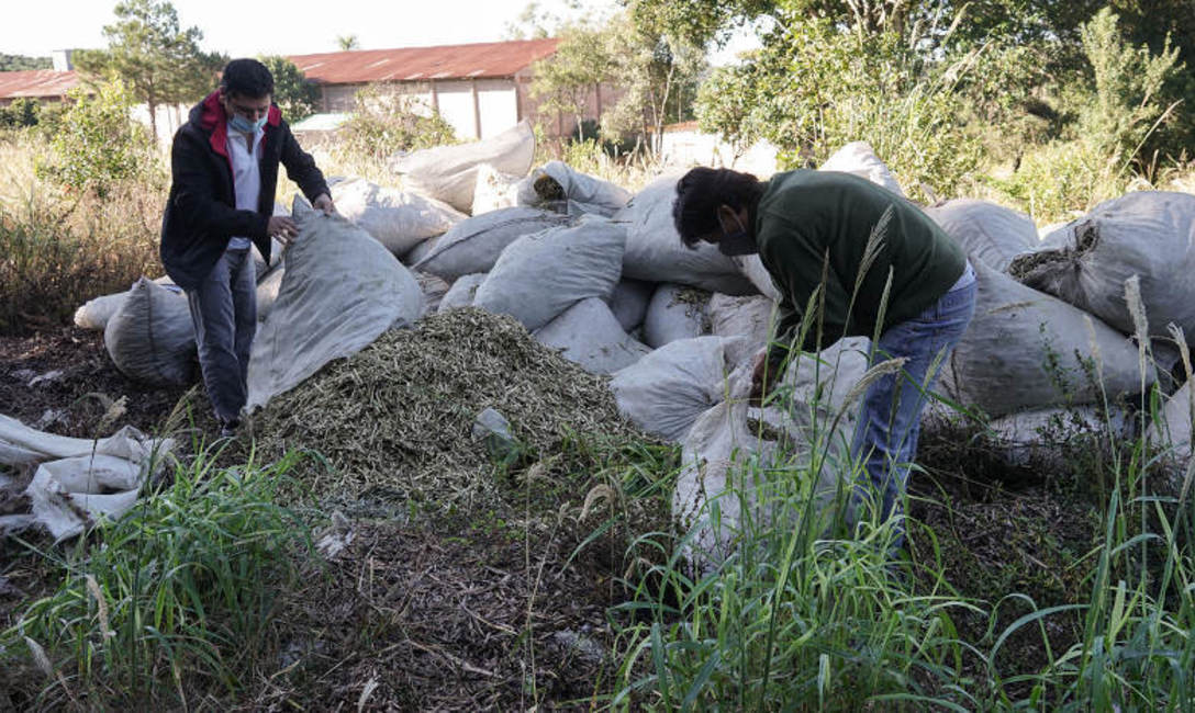 Imagen de El INYM clausur&oacute; un molino clandestino e inutiliz&oacute; 41 mil kilos de palitos de yerba