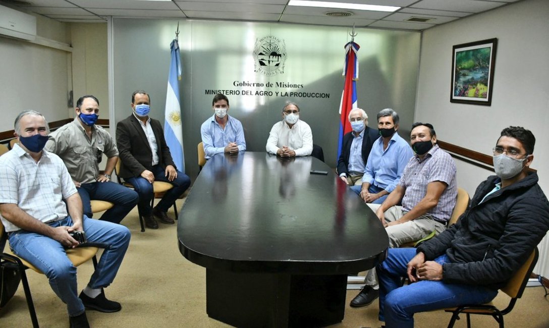 Presidida por el Ministerio de Agricultura de la Nación y el Ministerio del Agro y la Producción de Misiones, participaron de la reunión el INYM, SENASA, SAFCi e INTA. Presidida por el Ministerio de Agricultura de la Nación y el Ministerio del Agro y la Producción de Misiones, participaron de la reunión el INYM, SENASA, SAFCi e INTA.