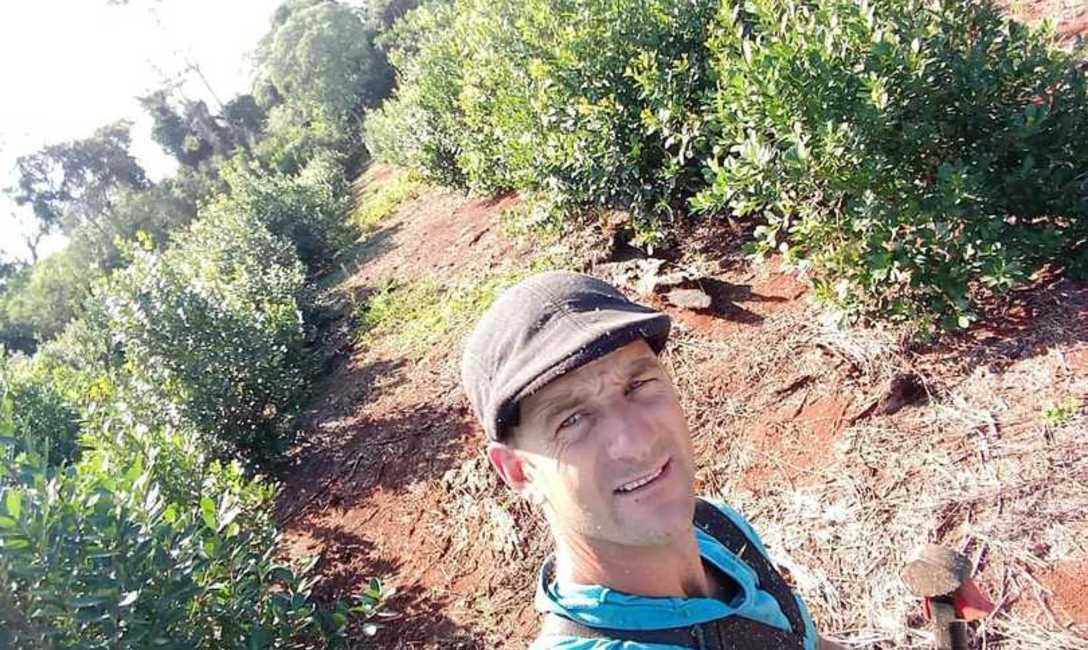 Imagen de Peque&ntilde;os productores de yerba mate