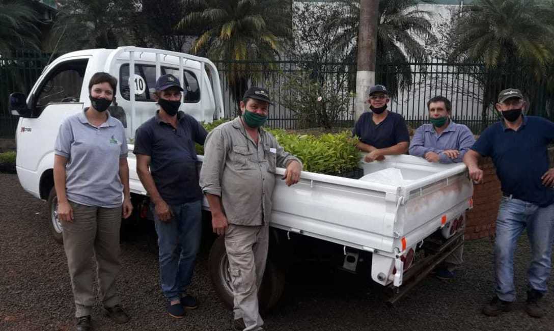 Entrega de plantines de yerba mate