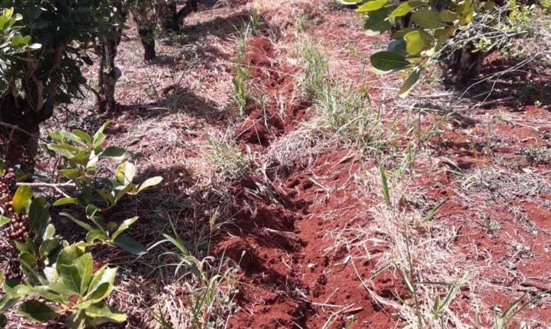 El INYM acerca herramientas para hacer el subsolado