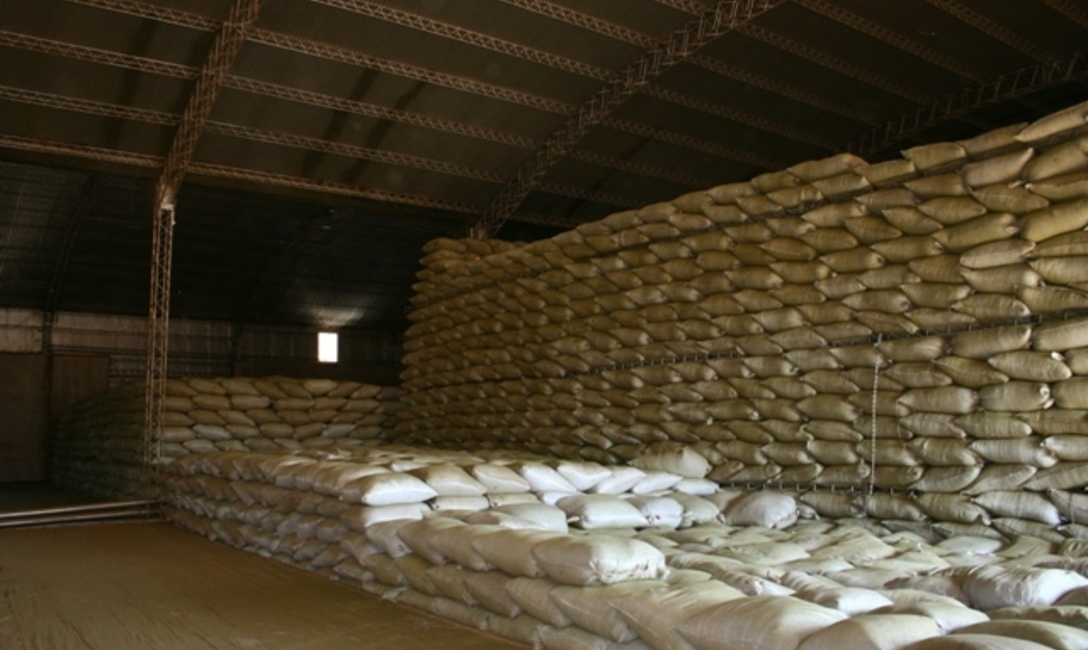 Los molinos y molinos fraccionadores que envasaron yerba mate, pasaron de 96 a 114 en la zona productora de yerba mate.