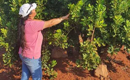 Imagen de La colaboración e integración dió sus frutos