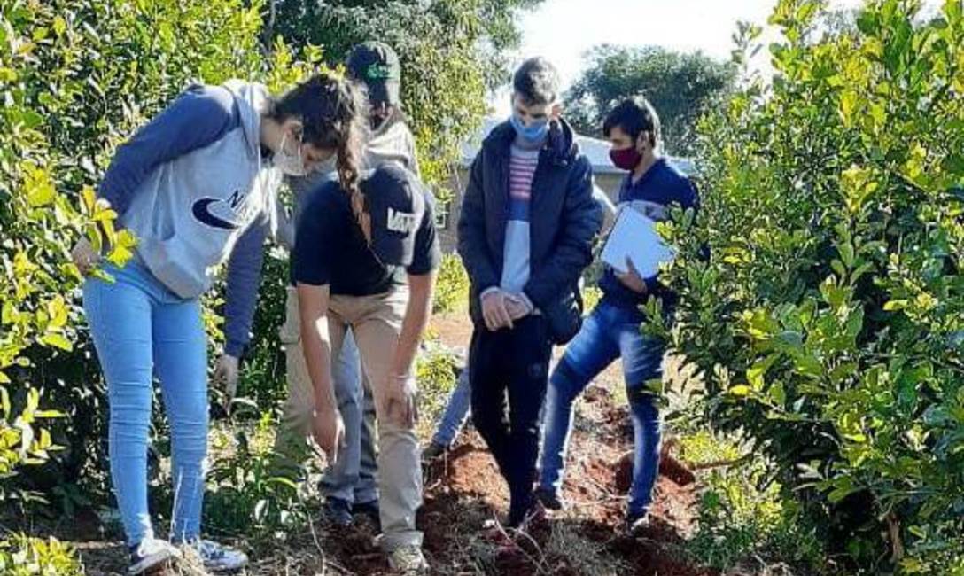 Imagen de Alumnos del IEA de San Pedro, en pr&aacute;cticas de conservaci&oacute;n de agua y suelo