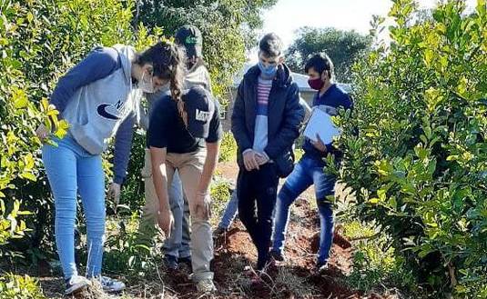 Imagen de Alumnos del IEA de San Pedro, en pr&aacute;cticas de conservaci&oacute;n de agua y suelo