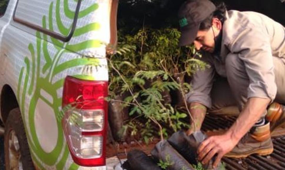 Ya estamos entregando plantines de anchico colorado, ca&ntilde;afistula y loro negro.