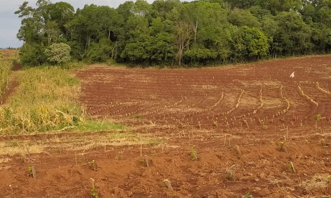 Imagen de Capacitaci&oacute;n en El Soberbio
