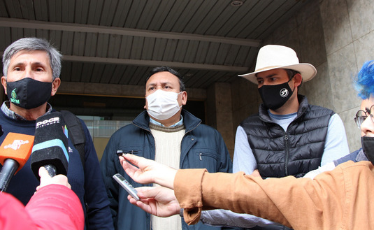 Se podrá implantar anualmente hasta el 2% de las superficies de yerbales ya existentes.