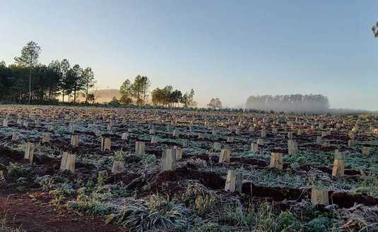 Imagen de Invierno en la zona productora