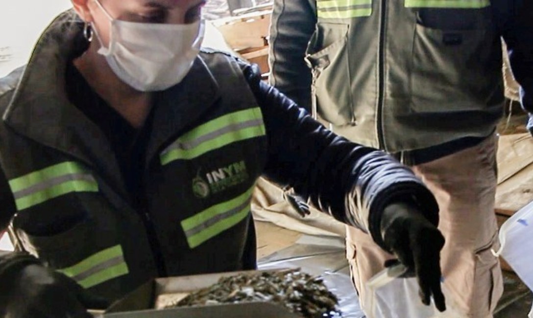 Imagen de El INYM realiza controles de calidad en establecimientos yerbateros de Misiones y Corrientes Imagen de El INYM realiza controles de calidad en establecimientos yerbateros de Misiones y Corrientes