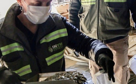 Imagen de El INYM realiza controles de calidad en establecimientos yerbateros de Misiones y Corrientes