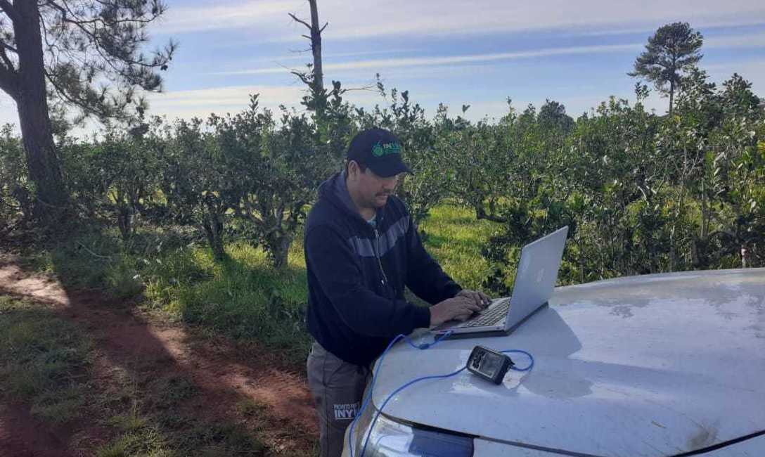 Imagen de El INYM actualizar&aacute; datos de yerbales con im&aacute;genes satelitales de la CONAE