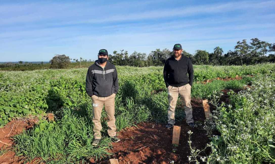 Imagen de El INYM actualizar&aacute; datos de yerbales con im&aacute;genes satelitales de la CONAE