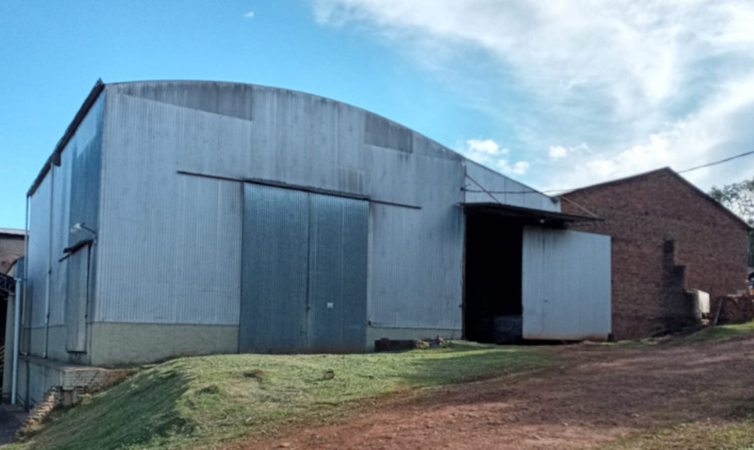 La Cooperativa procesa un promedio de 900 mil kilos de hoja verde por año, provista por 25 socios, todos pequeños productores. La Cooperativa procesa un promedio de 900 mil kilos de hoja verde por año, provista por 25 socios, todos pequeños productores.