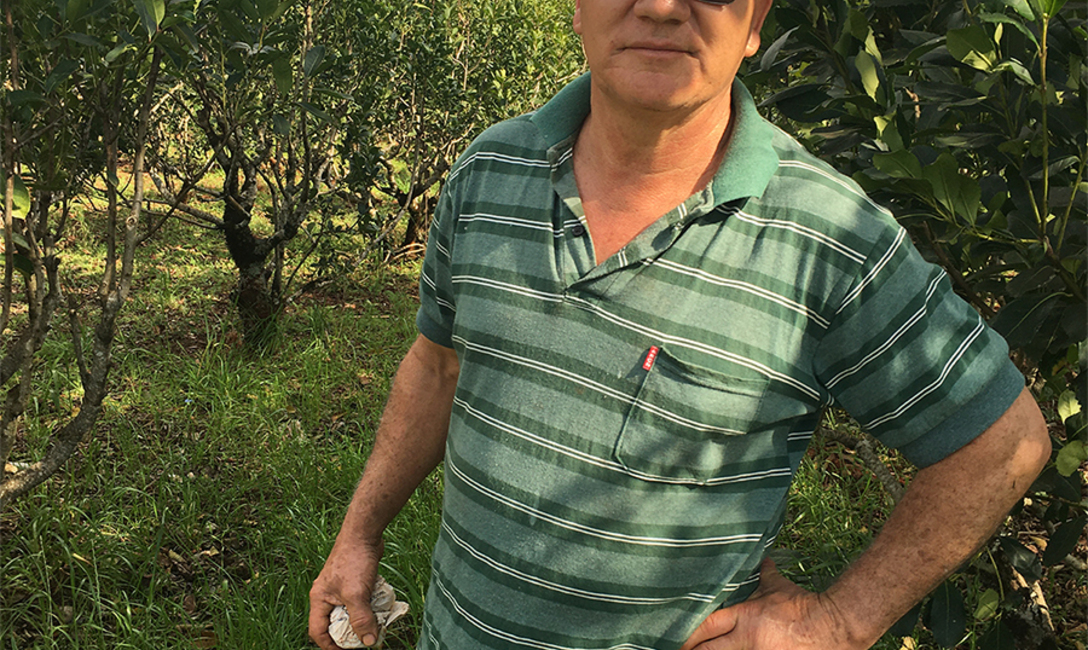 Imagen de Un yerbal aliado del medio ambiente