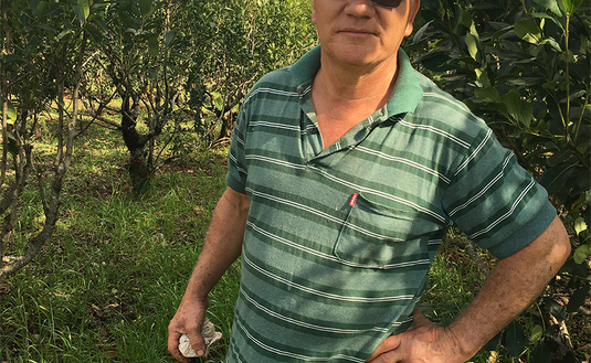 Imagen de Un yerbal aliado del medio ambiente