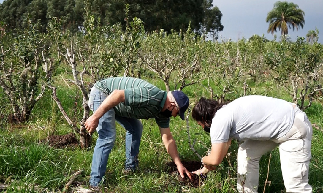 La t&eacute;cnica del INYM acompa&ntilde;a el trabajo que realiza Daniluk en su chacra