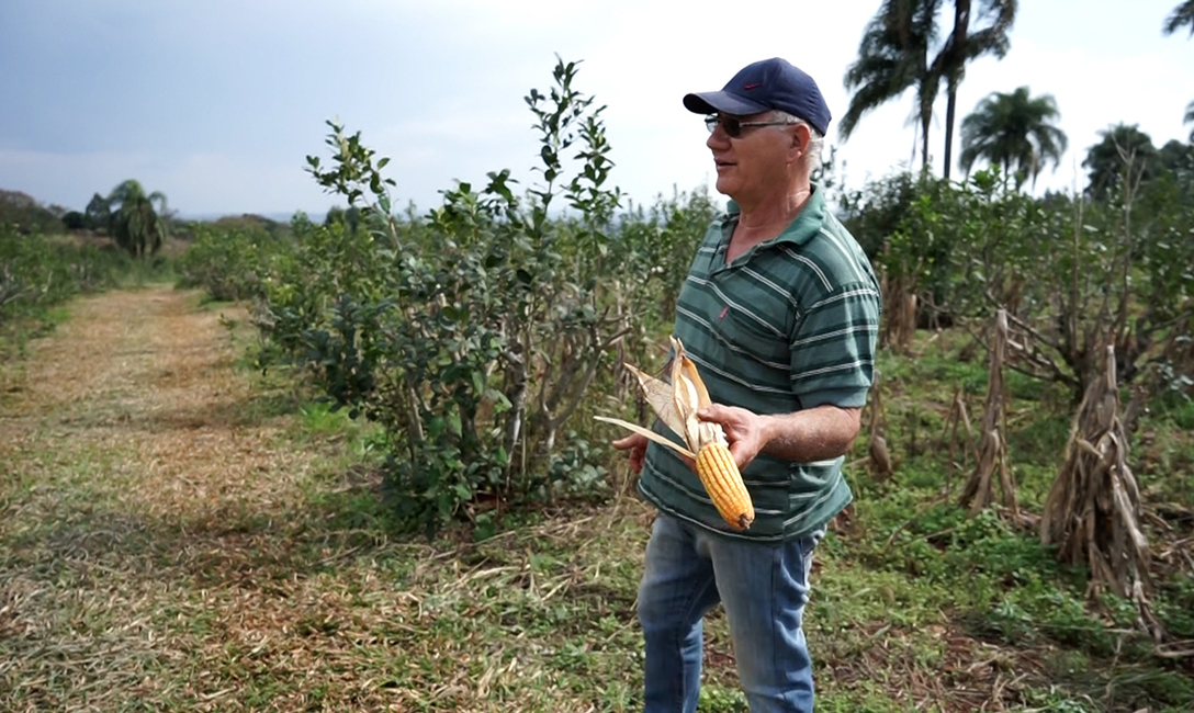 Autoconsumo. Daniluk produce buena parte de sus alimentos