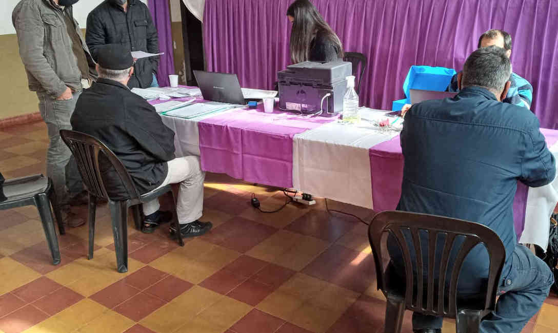 Imagen de Buena respuesta de productores a la actualización de yerbales Imagen de Buena respuesta de productores a la actualización de yerbales