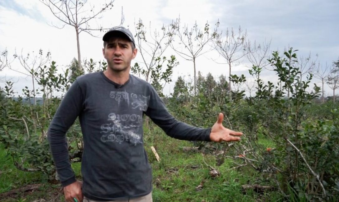 Juan Dutka: �Tengo tres hect&aacute;reas de yerba mate y a cada lote le puse un cartelito. De esta manera s&eacute; cu&aacute;ntos metros cuadrados tiene cada uno, qu&eacute; tareas realic&eacute; y cu&aacute;ntos productos apliqu&eacute;.