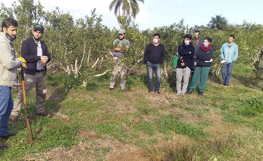 Imagen de Capacitación en yerbal de la EFA de Andresito