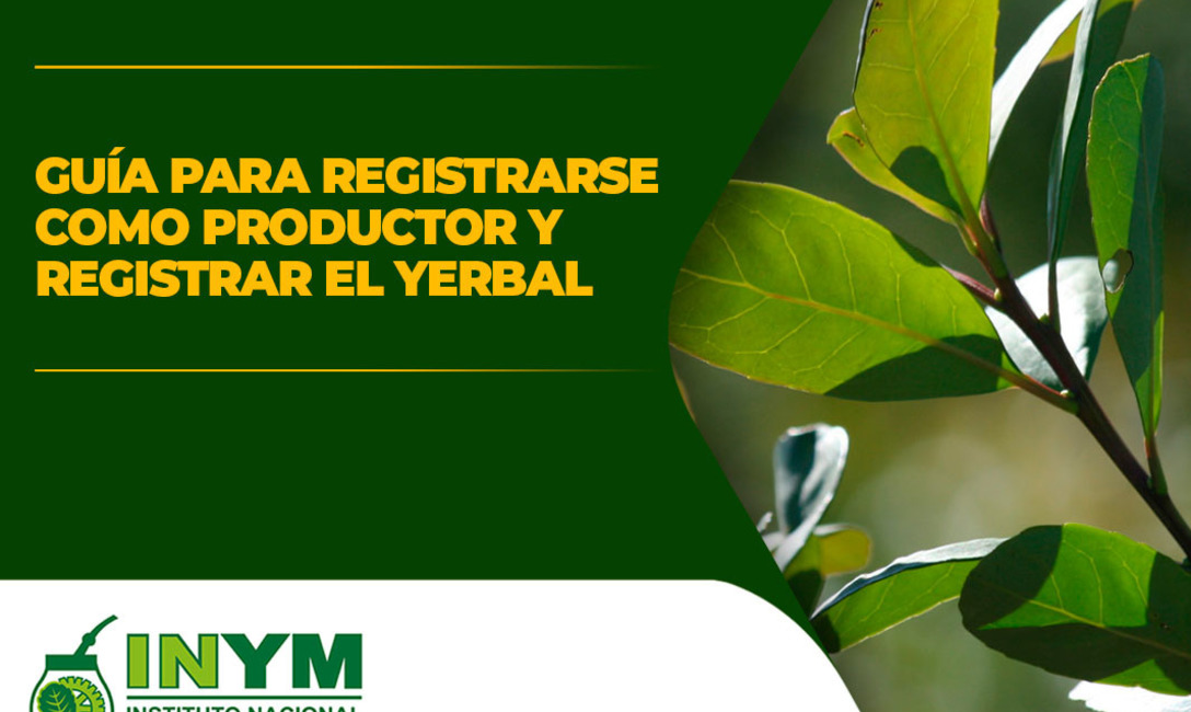 Imagen de ¿Cómo inscribirme como productor y registrar mi yerbal? Imagen de ¿Cómo inscribirme como productor y registrar mi yerbal?