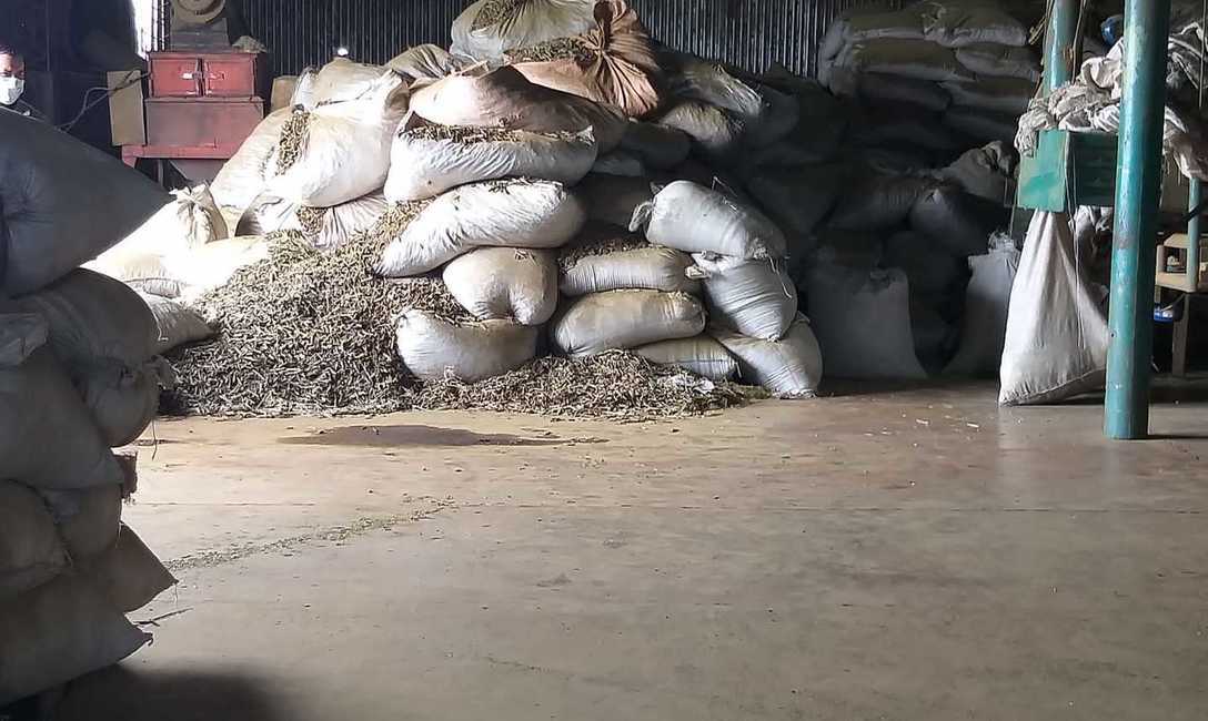 Imagen de El INYM clausur&oacute; un molino clandestino y un dep&oacute;sito con palos de yerba mate