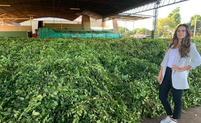 Imagen de Jasmine, la Urrutia que imprime vanguardia al secadero de medio siglo Imagen de Jasmine, la Urrutia que imprime vanguardia al secadero de medio siglo