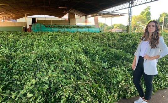 Imagen de Jasmine, la Urrutia que imprime vanguardia al secadero de medio siglo