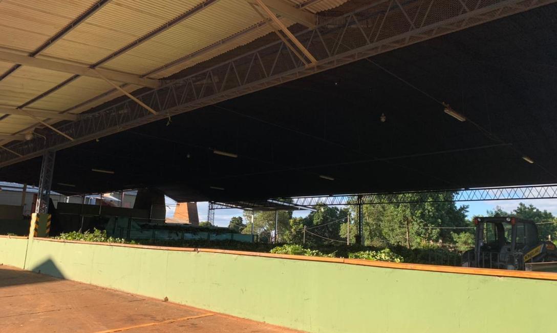 Imagen de Jasmine, la Urrutia que imprime vanguardia al secadero de medio siglo Imagen de Jasmine, la Urrutia que imprime vanguardia al secadero de medio siglo