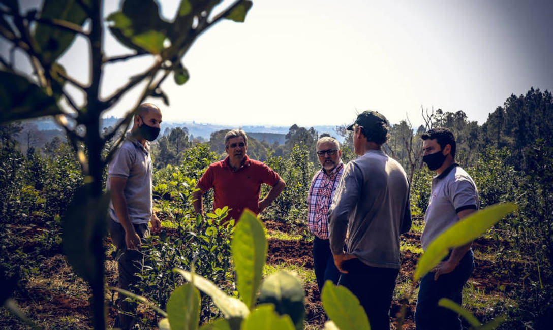 Fotos: Aldo Perez, Municipalidad de El Soberbio.