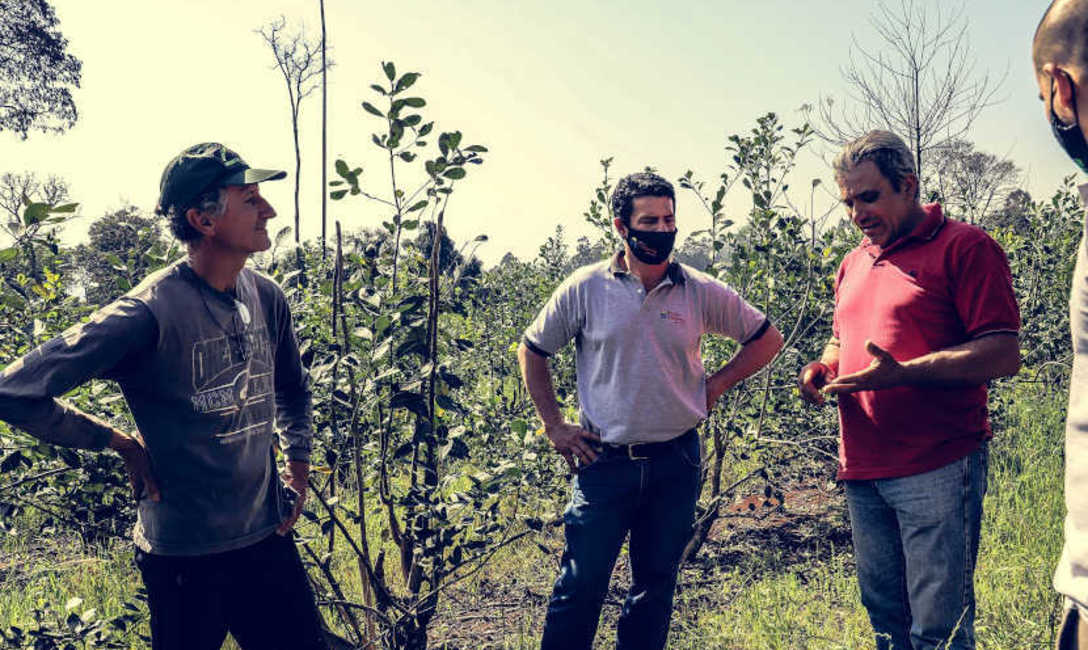 Imagen de El INYM acerca m&aacute;s servicios a productores de El Soberbio