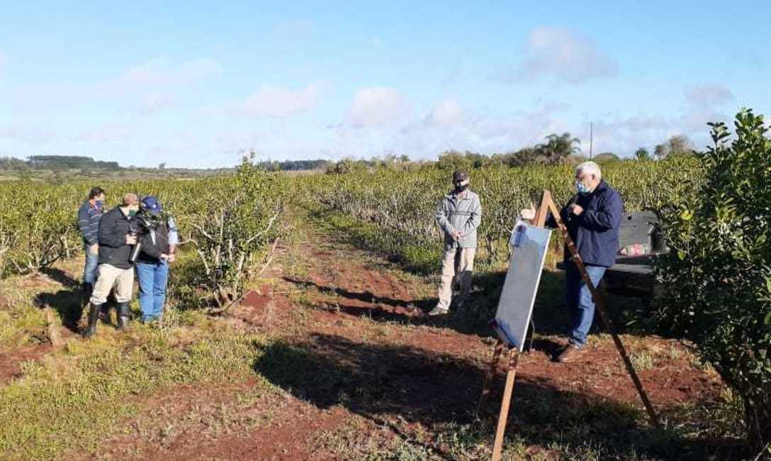 Imagen de Capacitaci&oacute;n sobre fertilizaci&oacute;n de suelo a productores y estudiantes secundarios