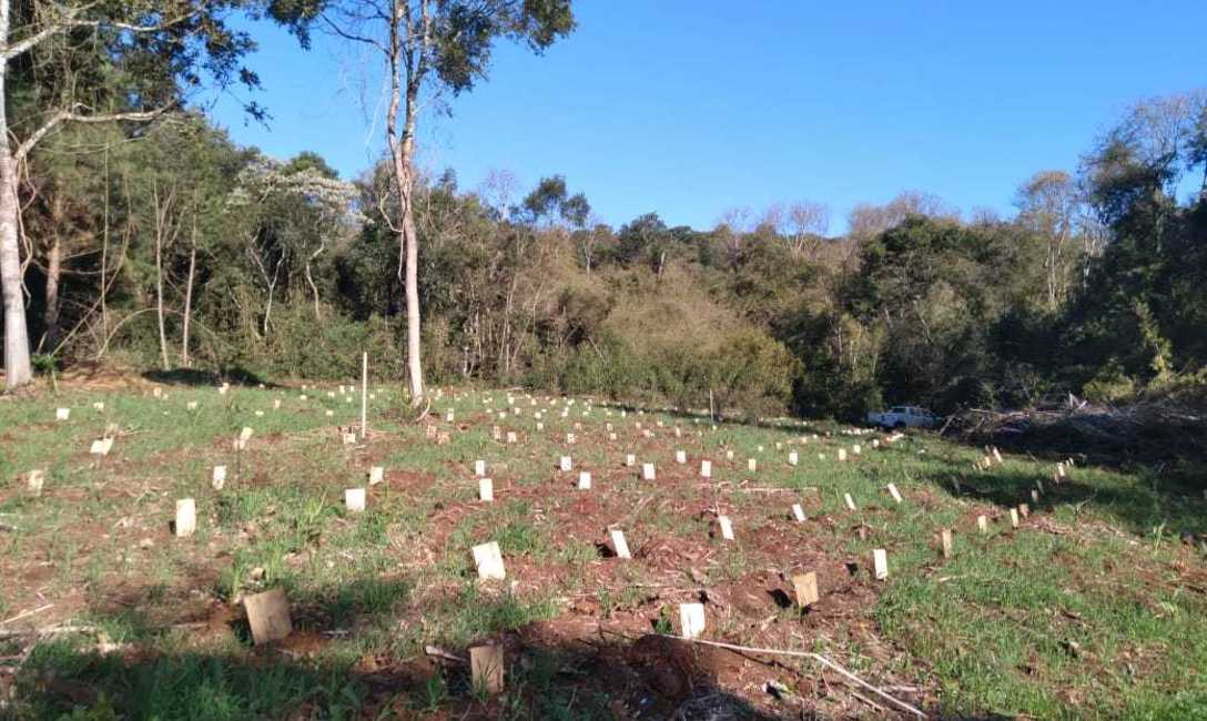 Las curvas de nivel son necesarias para evita la erosi&oacute;n.
