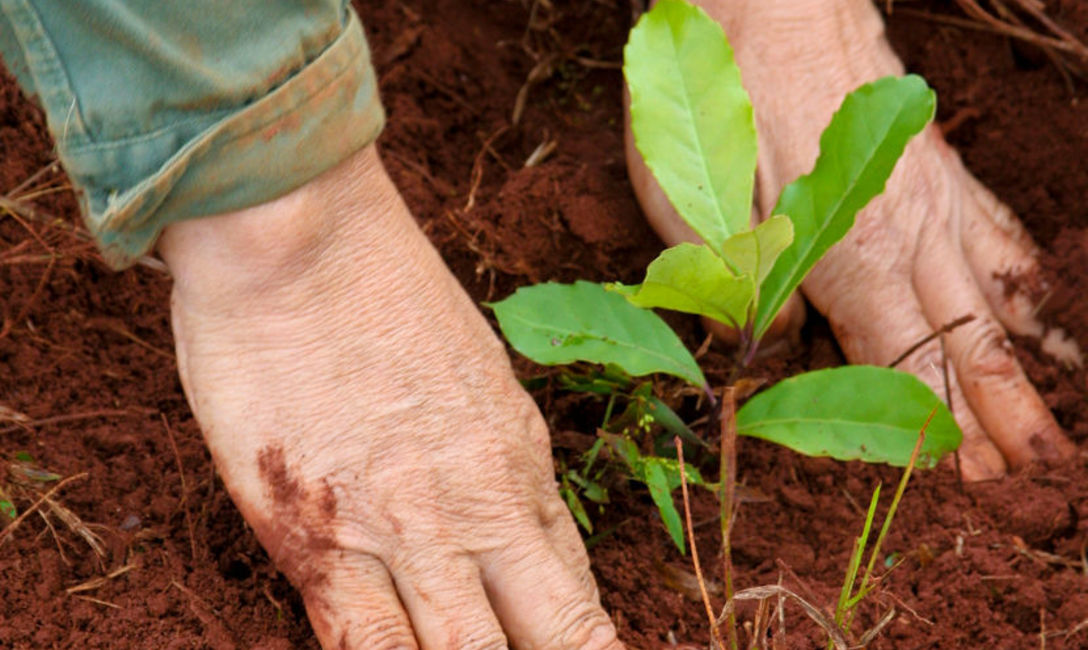 Saludamos en su día a los agricultores de la tierra colorada, quienes con trabajo y pasión, hacen que el mate llegue a cada hogar argentino. Saludamos en su día a los agricultores de la tierra colorada, quienes con trabajo y pasión, hacen que el mate llegue a cada hogar argentino.