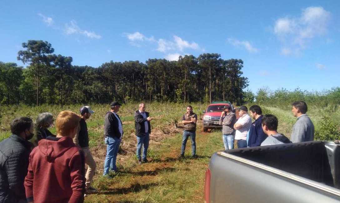 Imagen de Reuni&oacute;n con productores para evaluar la aplicaci&oacute;n digital de la trazabilidad de hoja verde