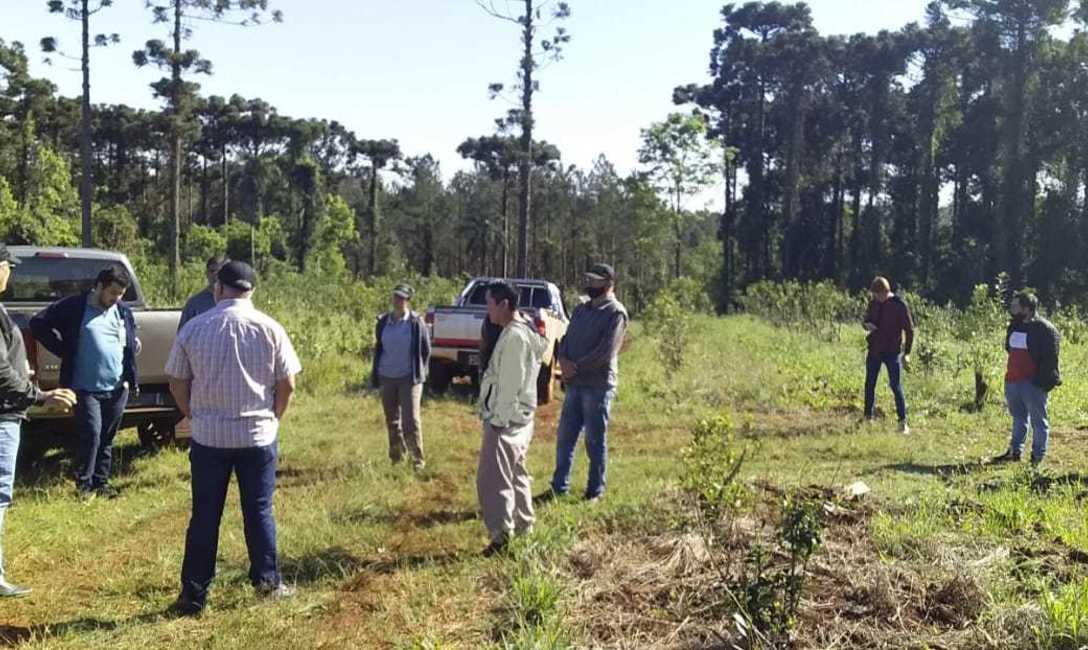 Imagen de Reuni&oacute;n con productores para evaluar la aplicaci&oacute;n digital de la trazabilidad de hoja verde