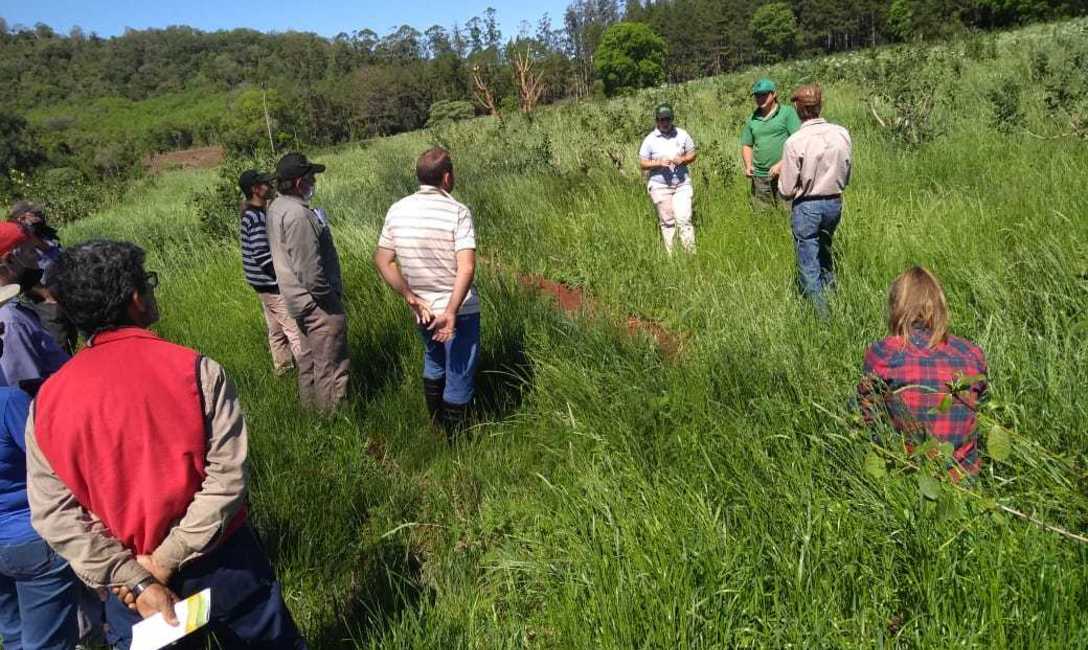 Imagen de Clausi, el ejemplo para los vecinos en cubiertas verdes