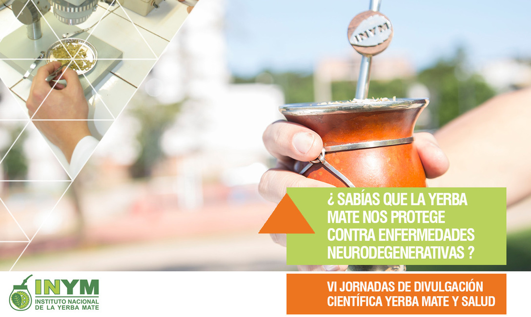 Imagen de Cient&iacute;ficos confirman que tomar mate disminuye el riesgo de contraer Parkinson