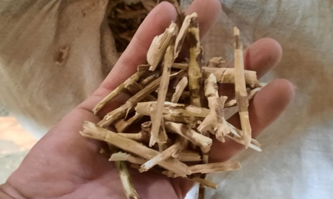 Imagen de Controles: el s&aacute;bado se decomisaron m&aacute;s de 22.000 kilos de palos de yerba mate en San Pedro