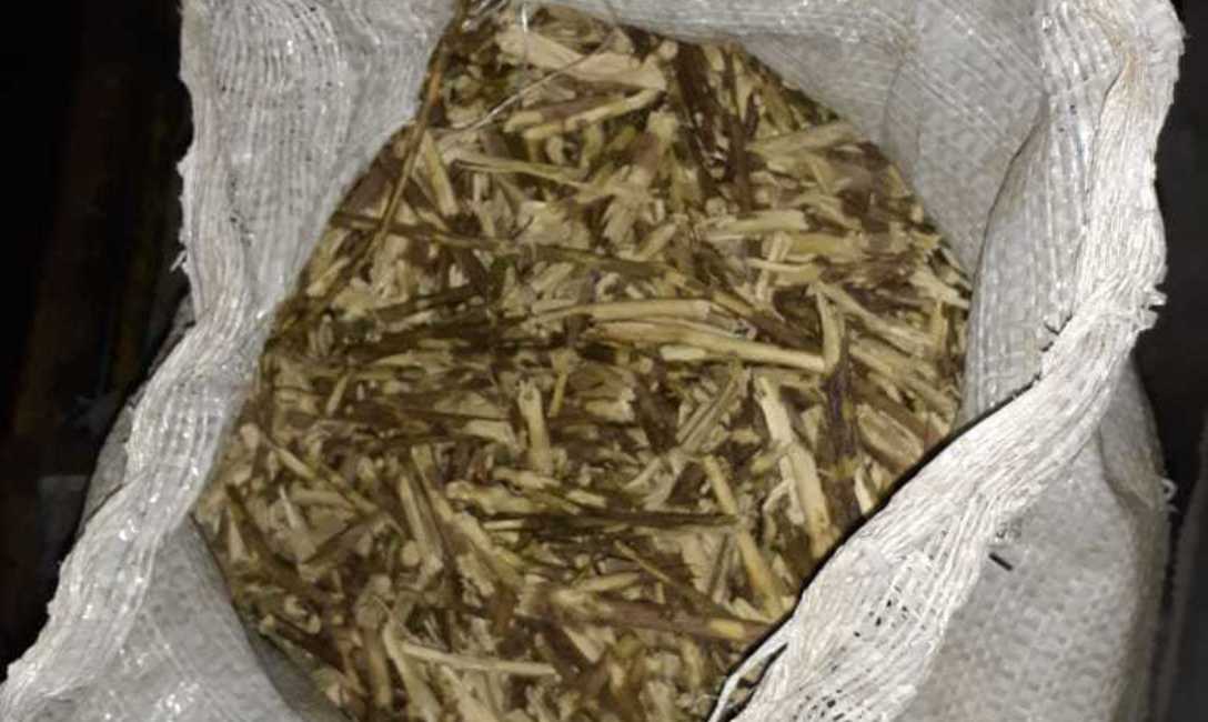 Imagen de Controles: el s&aacute;bado se decomisaron m&aacute;s de 22.000 kilos de palos de yerba mate en San Pedro