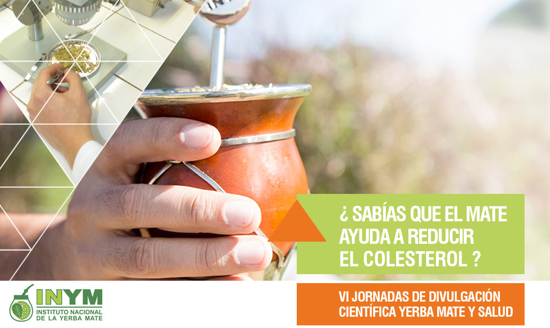 Imagen de El mate, un buen aliado para bajar de peso y controlar el colesterol