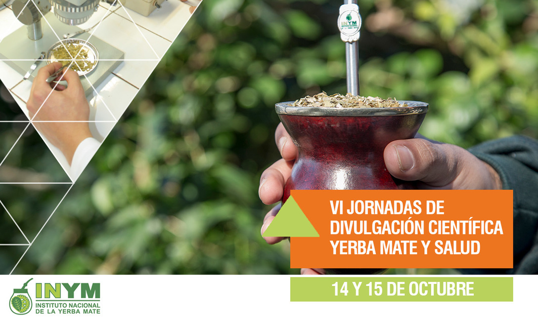 Imagen de El mate, un buen aliado para bajar de peso y controlar el colesterol