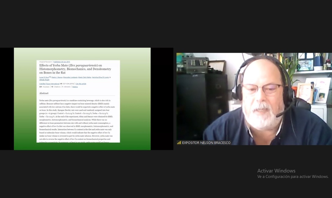 El Dr Nelson Bracesco, pionero en investigar los efectos de la yerba mate en la salud humana El Dr Nelson Bracesco, pionero en investigar los efectos de la yerba mate en la salud humana