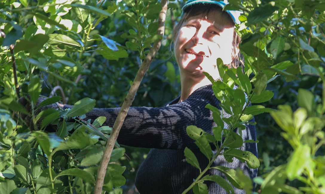 Imagen de D&iacute;a Internacional de la Mujer Rural