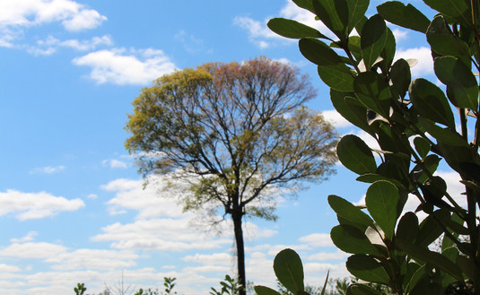 Imagen de Revista Bien Nuestro Nº39