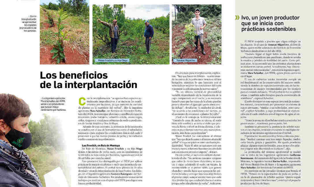 Imagen de Revista Bien Nuestro N&ordm;39