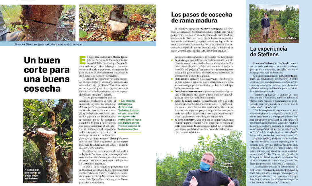 Imagen de Revista Bien Nuestro N&ordm;39